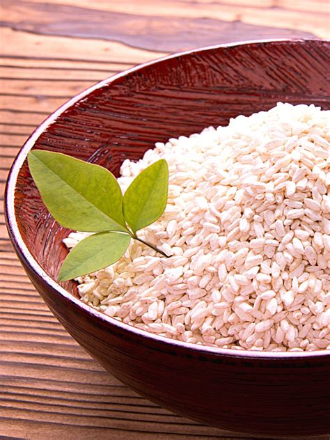 where to buy malted rice.